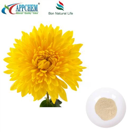 Wyciąg z Flos Chrysanthemi