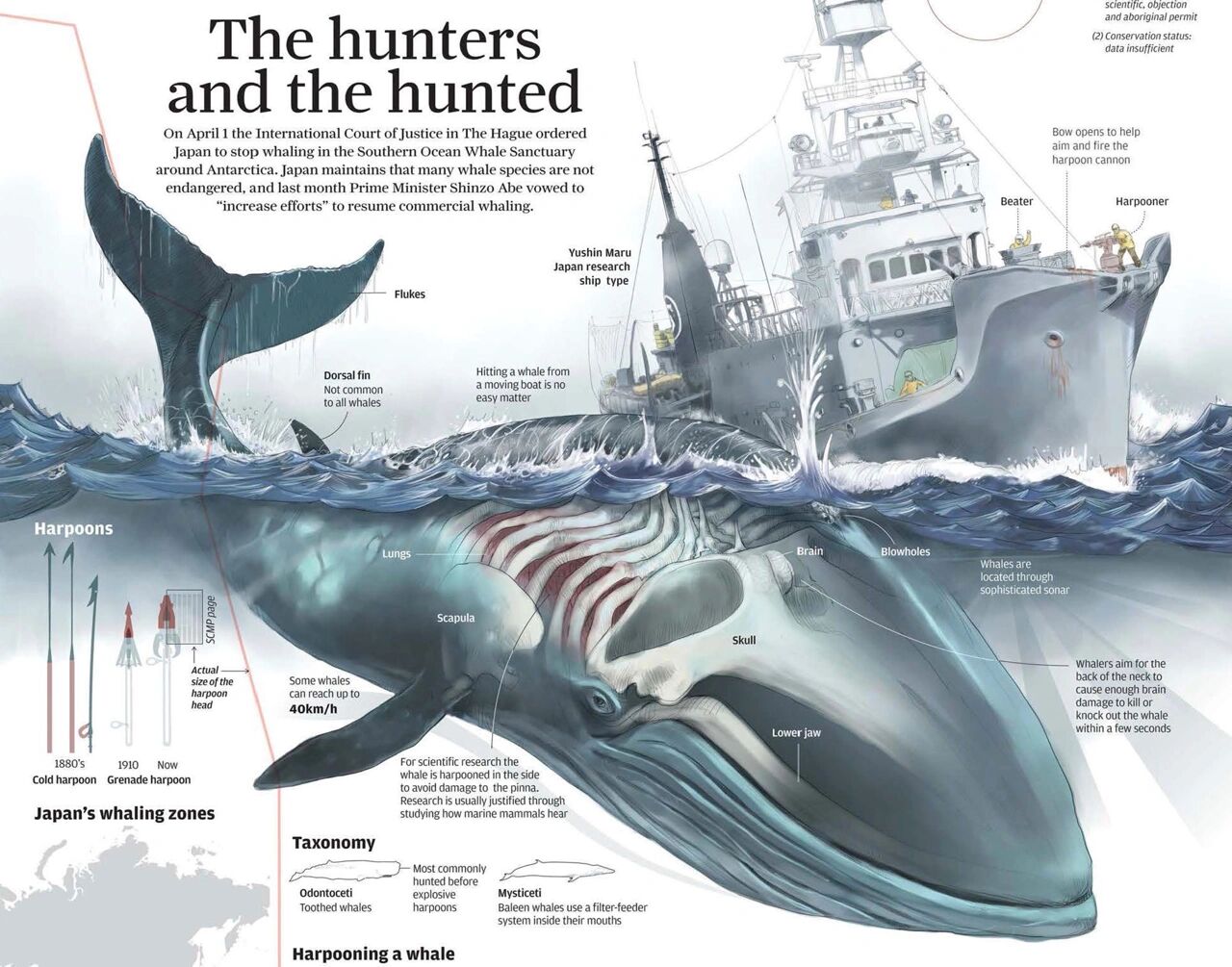 info-1280-1005