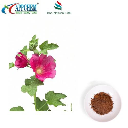 Ekstrakt z liści prawoślazu