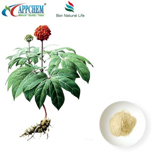 Ekstrakt Notoginseng Radix et Rhizoma