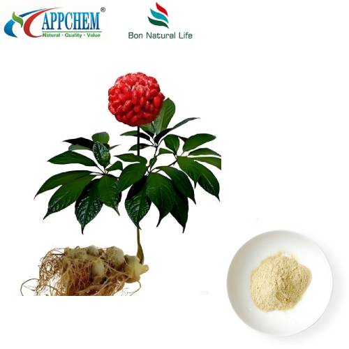 Ekstrakt z korzenia Notoginseng