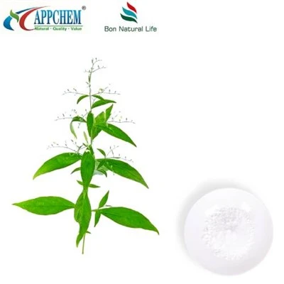 Ekstrakt z Andrographis Paniculata Andrographolid