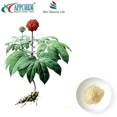 Ekstrakt Notoginseng Radix et Rhizoma